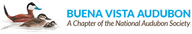 bvas_promo
